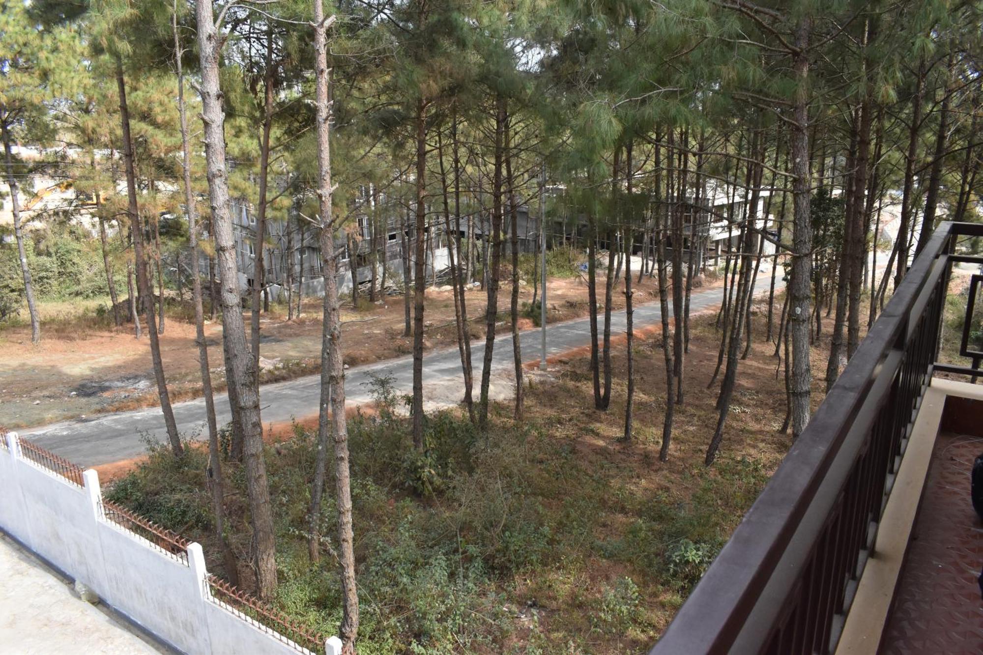 Xtsy Travellers Hostel 실롱 외부 사진