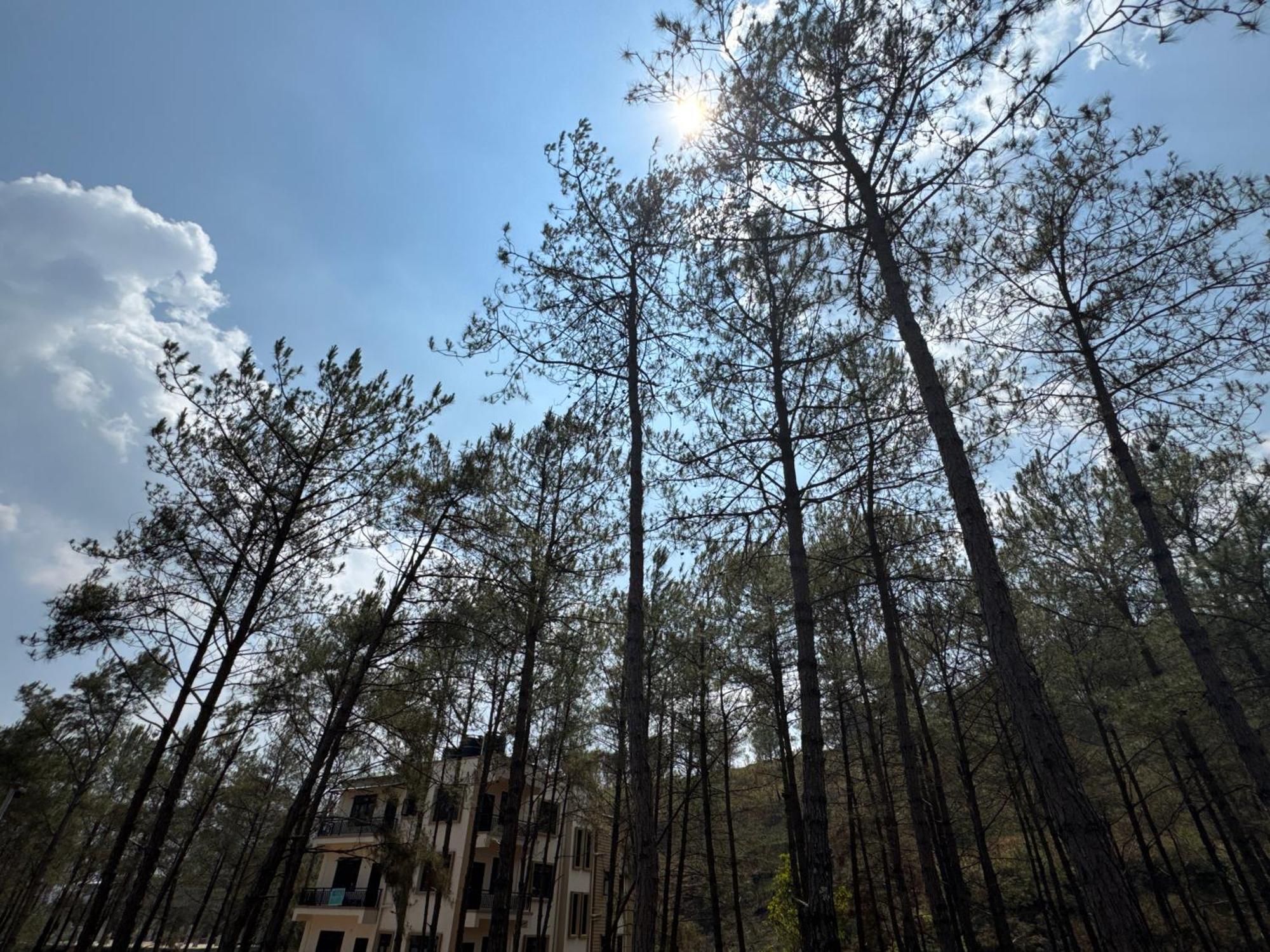 Xtsy Travellers Hostel 실롱 외부 사진